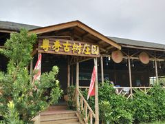 -粤秀古树庄园