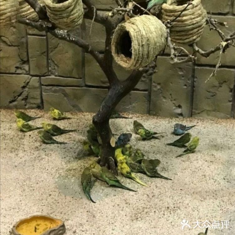 动物很可爱，喂食还是得小心一点，不要喂食太多呦！