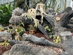 -国家植物园南园