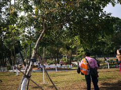 -东莞植物园