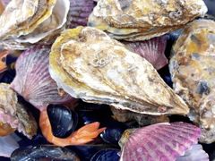 -威海渔村(黄兴路店)