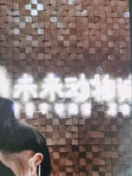 -未来动物城动物主题公园(大悦城店)