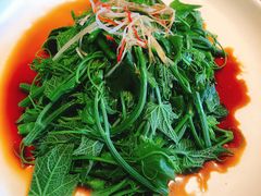 -马仕玖煲·融合菜·酥不腻烤鸭(人大店)