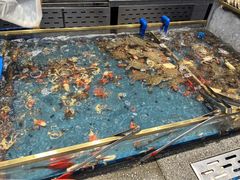 -半岛听涛蒸汽海鲜自助(K11店)