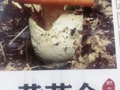 -菌之家·专业纯野生菌火锅·特色炒菌