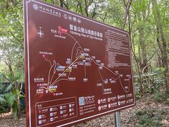 -紫金山山顶公园