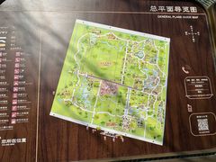 -东平国家森林公园