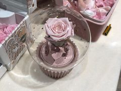 -BEAST野兽派(上海浦东嘉里城店)