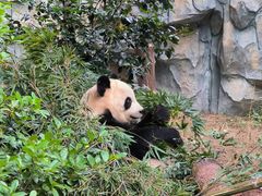 -泉州海丝野生动物世界