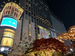 -乐天免税店(明洞店)