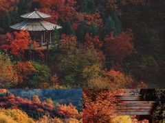-九如山休闲旅游度假区