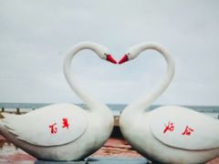 -大鹿岛
