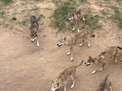 -鄂尔多斯野生动物园