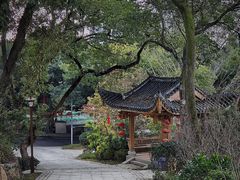 -乌山风景区