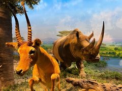 -国家自然博物馆