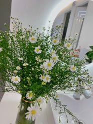 -SEE YOUNG皙有·美甲美睫·皮肤管理