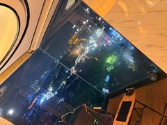 -顽啤熊·酒客酒馆(苏城夜景必选店)