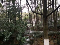 -白马涧龙池景区