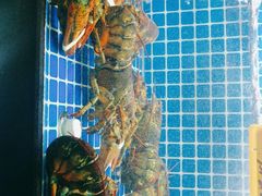 -徽三说·土徽菜·中国徽菜连锁品牌(一中店)