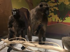 -陕西自然博物馆