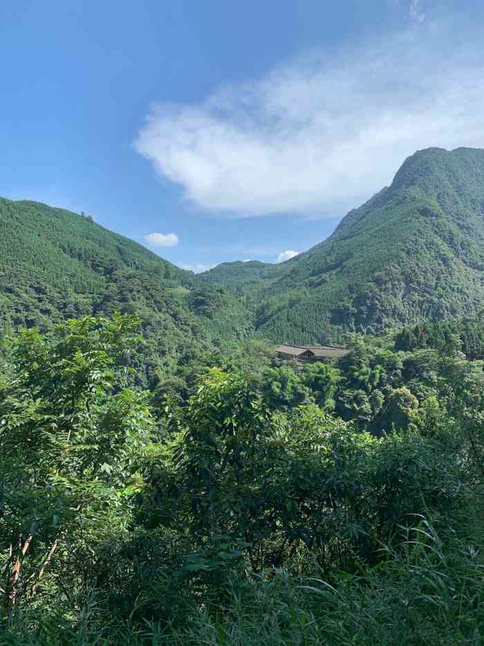 沙湾美女峰森林公园-售票处