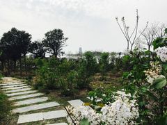 -卤阳湖国家湿地公园