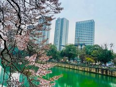 -成都市活水公园