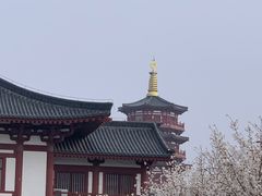 -隋唐大运河文化博物馆