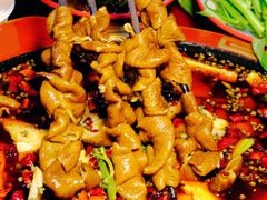 -烧哥美蛙肥肠鱼火锅·十五年社区店