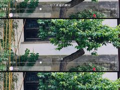 -练塘古镇