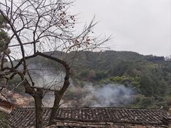 -杨家堂村