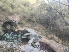 -宁波市保国寺古建筑博物馆