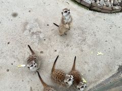 -呀路古热带植物园