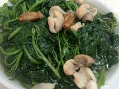 上汤番薯叶-醉贤居