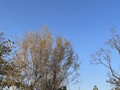 -滇池海埂公园