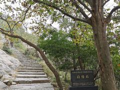 -涂山风景区