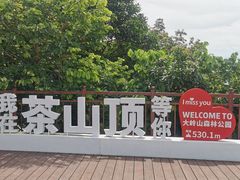 -东莞市大岭山森林公园