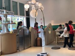 -飞行喵MR PILOT|猫舍·猫咖(静安大融城店)