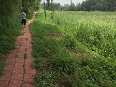 -白渔泡湿地公园