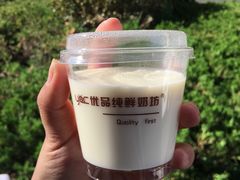 原味双皮奶-白色日记·手作酸奶(麦凯乐店)