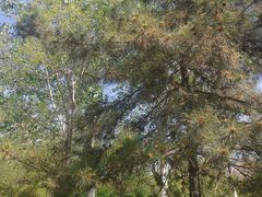 -绿岛公园(滨海新区)