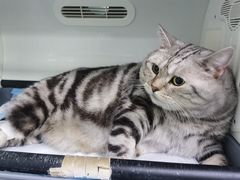 -达爱动物医院·犬猫分区·CT·复杂眼科(远洋山水分院)