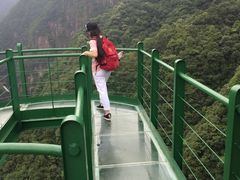 龙湾潭国家森林公园-龙湾潭国家森林公园