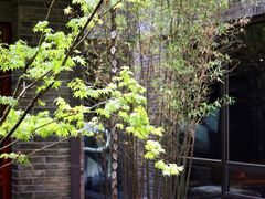 -成都观隐颐云台酒店-芳菲秀