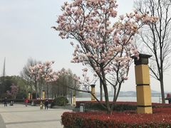 -南京凤凰台饭店