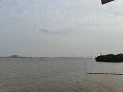 -海鸥岛