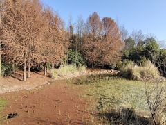 -长广溪湿地公园