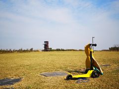 -春花秋色城市公园