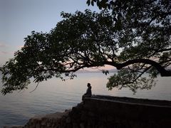 -抚仙湖禄充风景区
