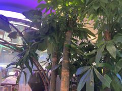 -桂满陇·蟹黄小笼汤包(清河万象店)
